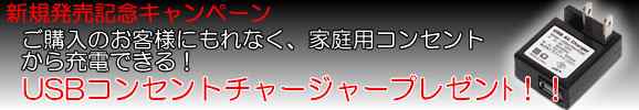 1時間の充電で連続2時間撮影　ワンタッチ録画リモコン付8GBメモリ内蔵ハンドバッグ型ビデオカメラ　CN-BGC01